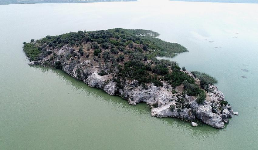 Uluabat Gölü'ndeki satılık adanın sahibinden ilginç çıkış! Bu adayı alan virüsten kurtulur