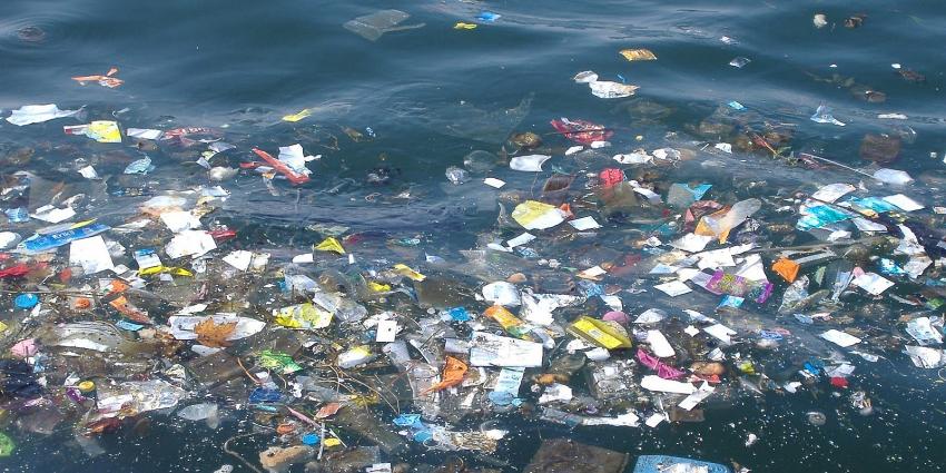 WWF açıkladı! Akdeniz'deki kirliliğin sorumlusu Türkiye ve İtalya