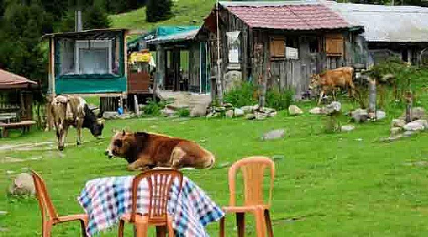 Yaylacılık kültürü, turizmde tesisleşmeye yenik düşüyor